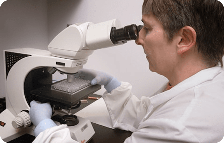 Researcher using microscope in laboratory